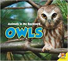Owls (Animals in My Backyard)