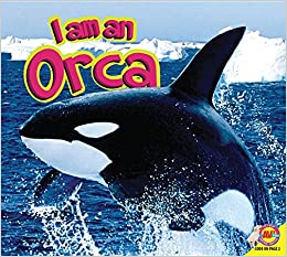 Orca (I Am)