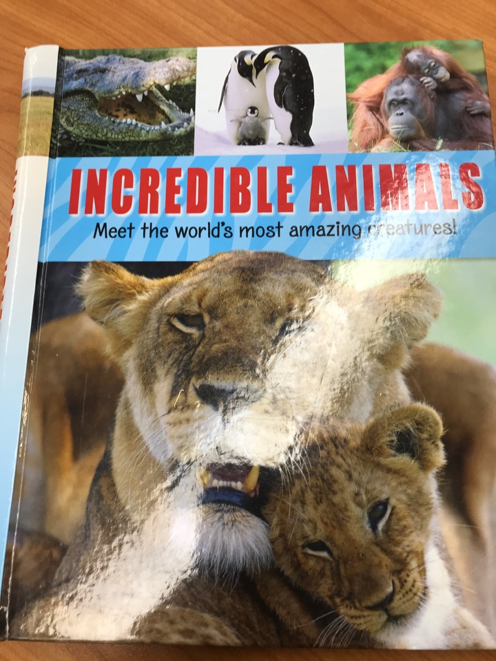 Incredible Animals
