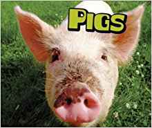 Pigs (Pebble Plus: Farm Animals)