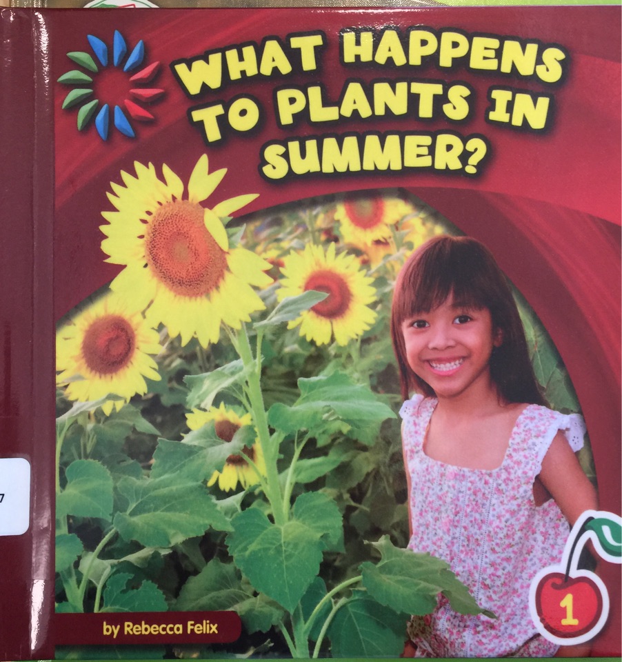What happens to Plants In summer?