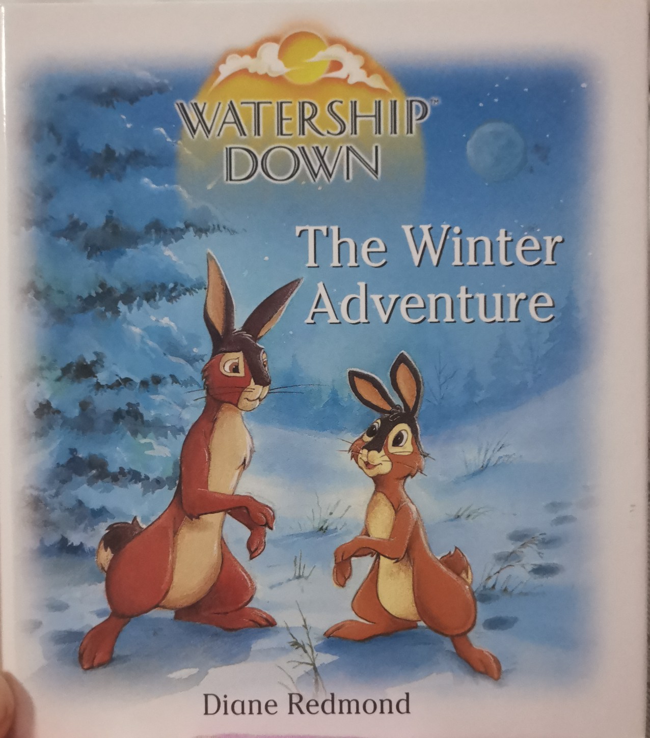 the winter adventire