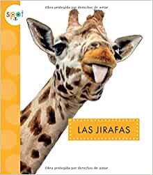 Las Jirafas (Animales Africanos) (Span