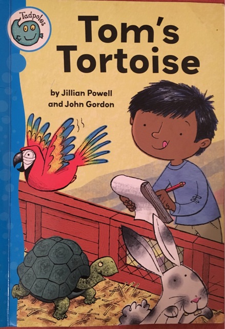 Tom's Tortoise