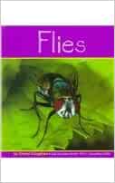 Flies (Insects)