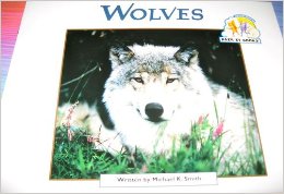 Steck-Vaughn Pair-It Books Emergent St