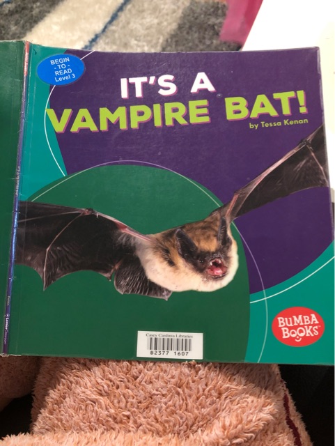 It's a vampire bat!