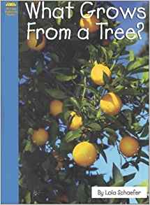 What Grows from a Tree? (Science)