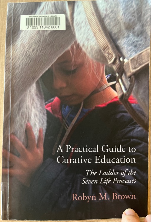 A Practical Guide to Curative Educatio