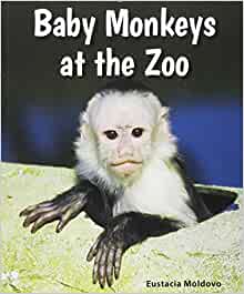 Baby Monkeys at the Zoo (All about Bab