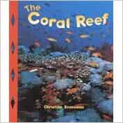 The Coral Reef