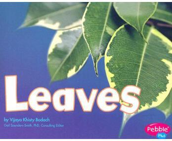 Leaves (Pebble Plus: Plant Parts)