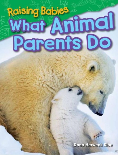 Raising Babies - What Animal Parents D