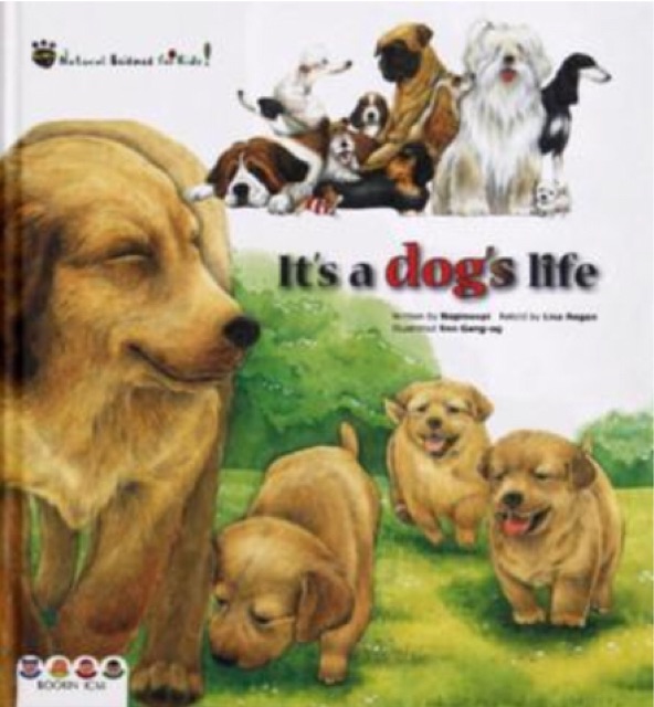 宾果儿童自然科学第一辑 Go wild：It's a dog's life