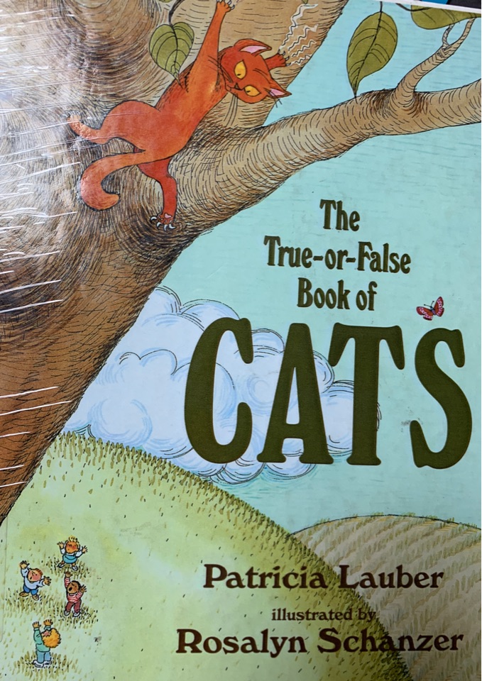 the true or false book of cat