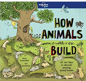 How Animals Build