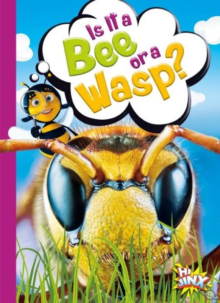 Is It a Bee or a Wasp