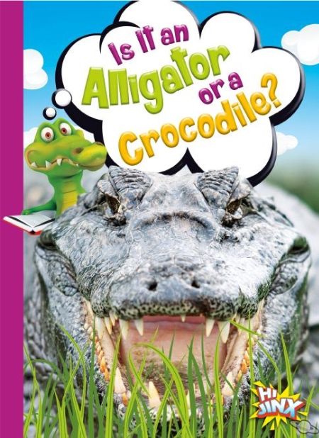 Is It a Alligator or a Crocodile