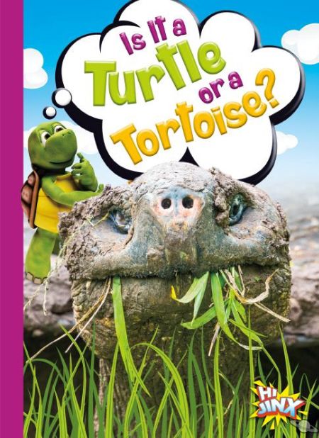 Is It a Turtle or a Tortoise