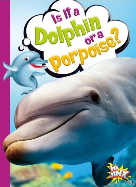 Is It a Dolphin or a Porpoise