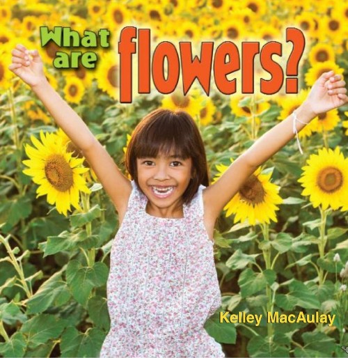 What are flowers