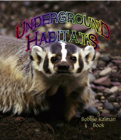 Underground Habitats