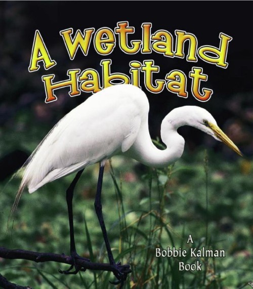 A Wetland Habitat