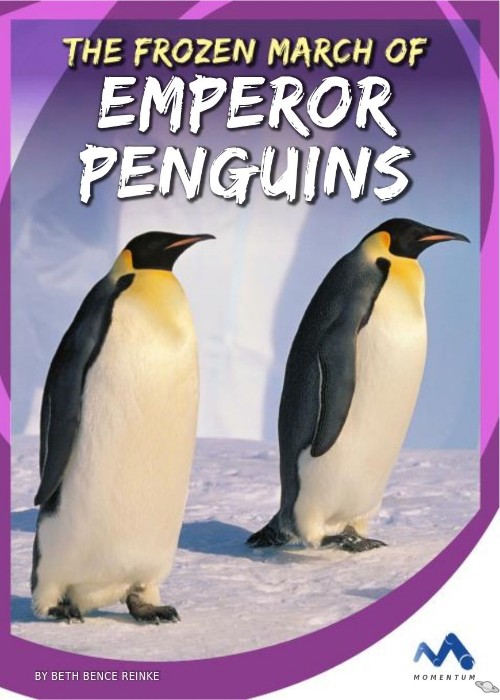The Frozen March of Emperor Penguins