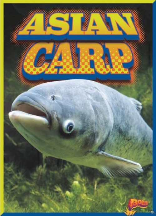 Asian Carp