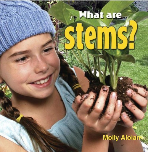 What are stems