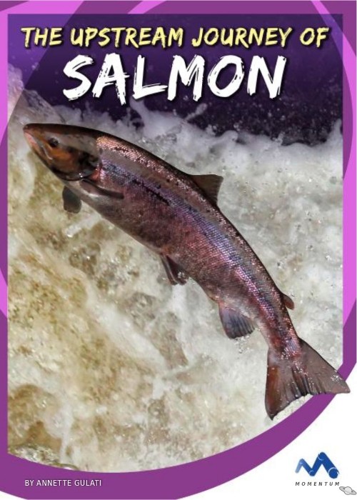 The Upstream Journey of Salmon
