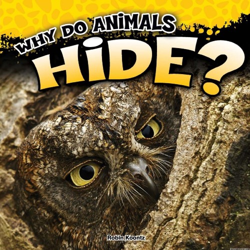 Why Do Animals Hide