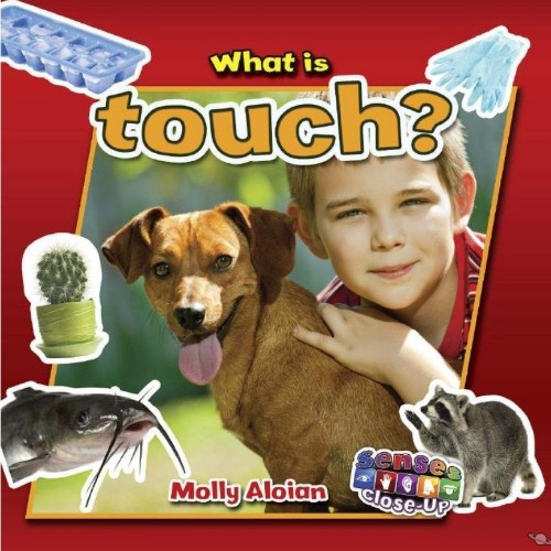 What is touch