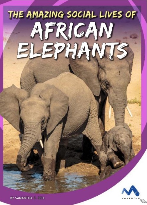 The Amazing Social Lives of African El