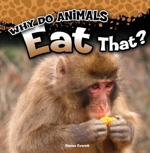Why Do Animals Eat That