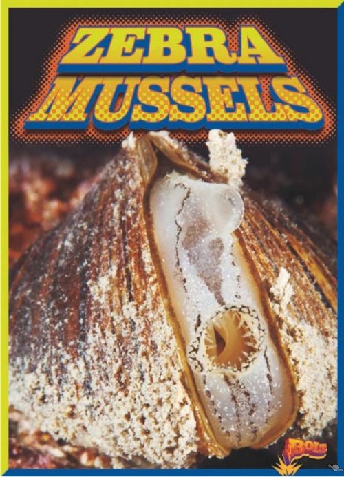 Zebra Mussels