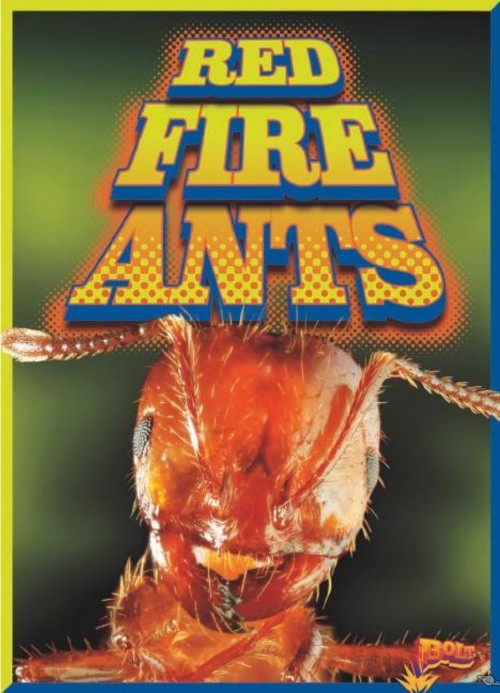 Red Fire Ants