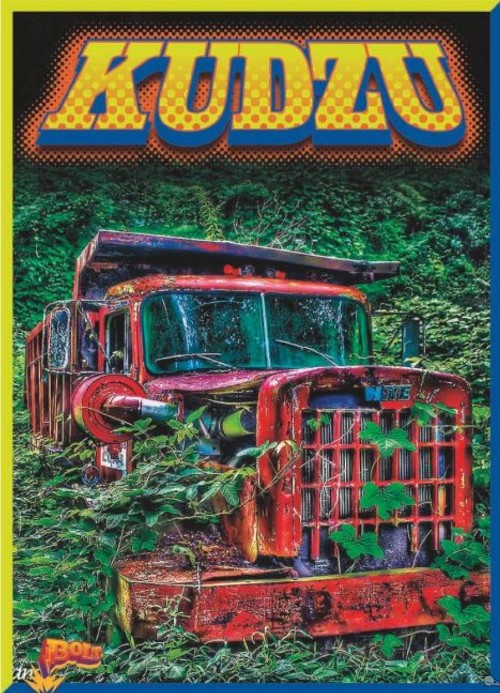 Kudzu