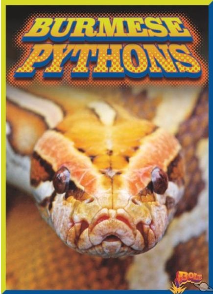 Burmese Pythons