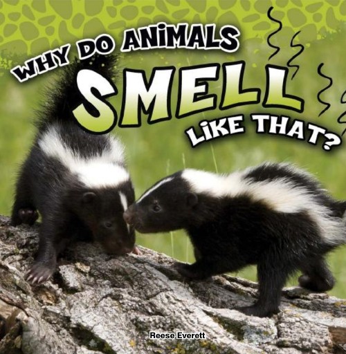 Why Do Animals Smell Like That