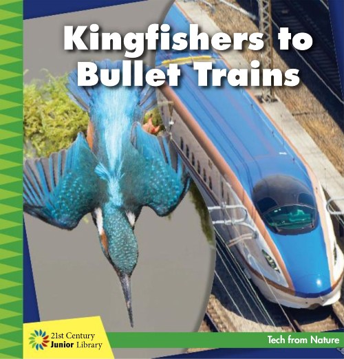 Kingfishers to Bullet Trains