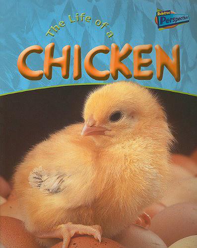 The Life of a Chicken