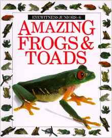 Amazing Frogs and Toads (Eyewitness Ju
