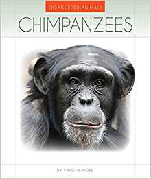 Chimpanzees (Endangered Animals)