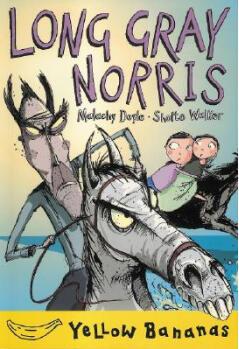 Long Gray Norris