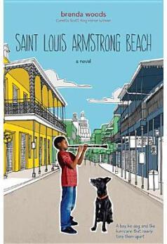 Saint Louis Armstrong Beach