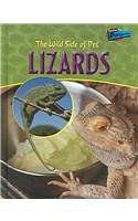 The Wild Side of Pet Lizards