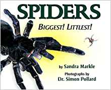 Spiders: Biggest! Littlest!