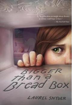 Bigger than a Bread Box