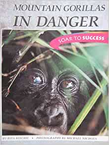 Houghton Mifflin Soar to Success: Moun